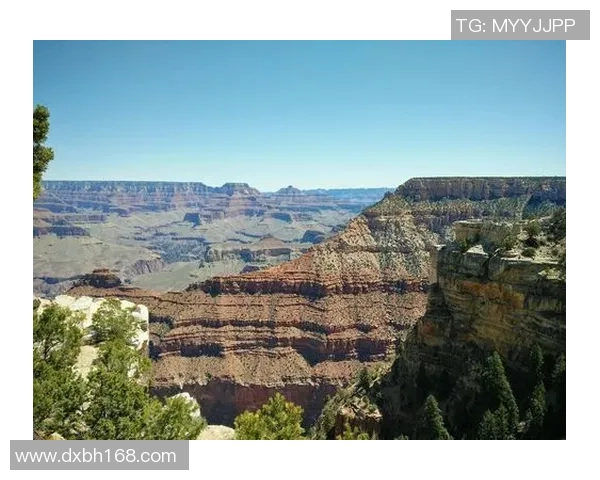 克罗拉多与新英格兰的激烈对决揭示足球战术与团队精神的较量