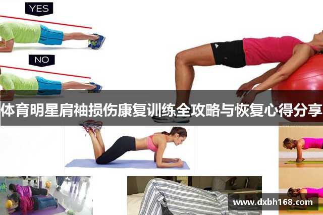 体育明星肩袖损伤康复训练全攻略与恢复心得分享